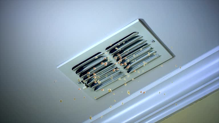 Best Air Duct Cleaning Near Me  in Ashland City, TN